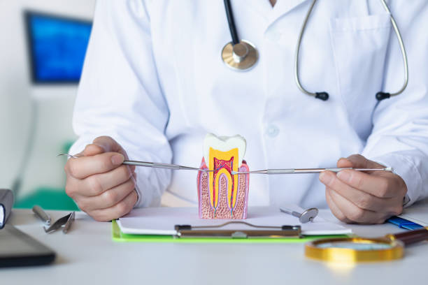 Best Emergency Broken Tooth Repair in Bertville, AL